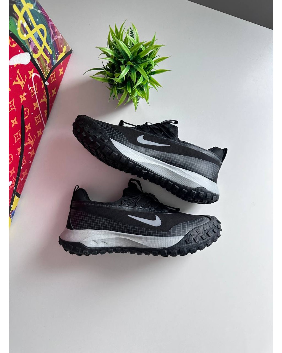 Nike ACG Mountain Fly Low Gore-Tex Black Grey
