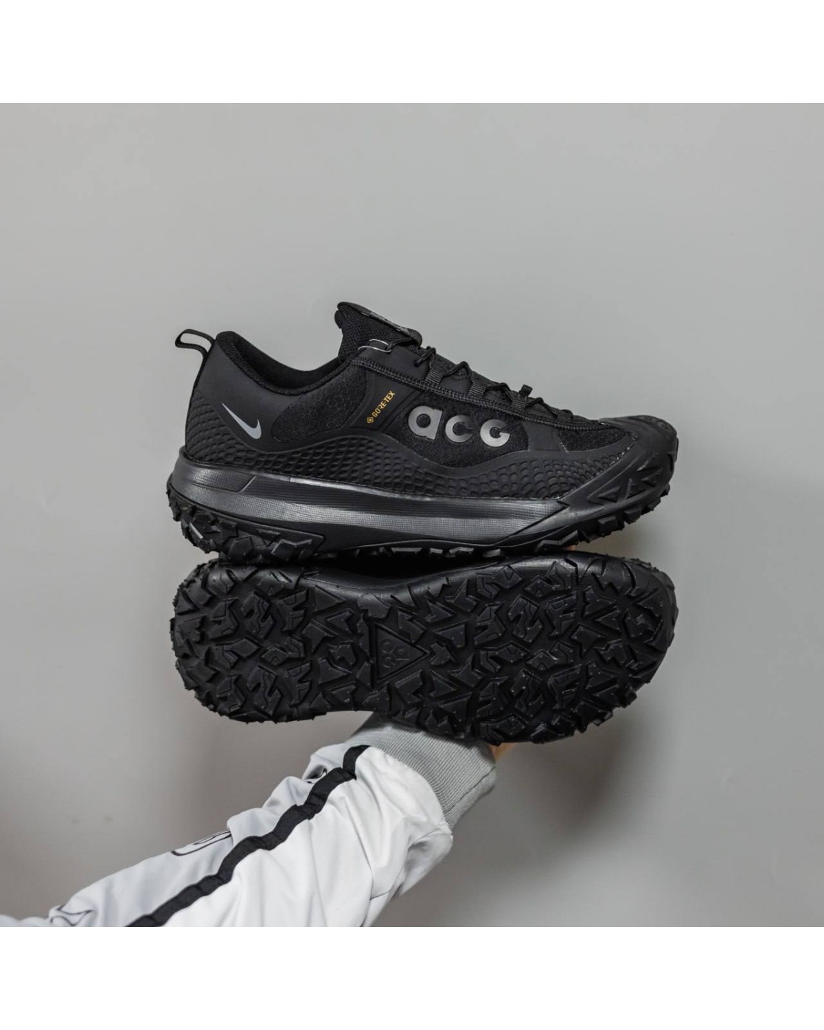 Nike ACG Mountain Fly Low 2