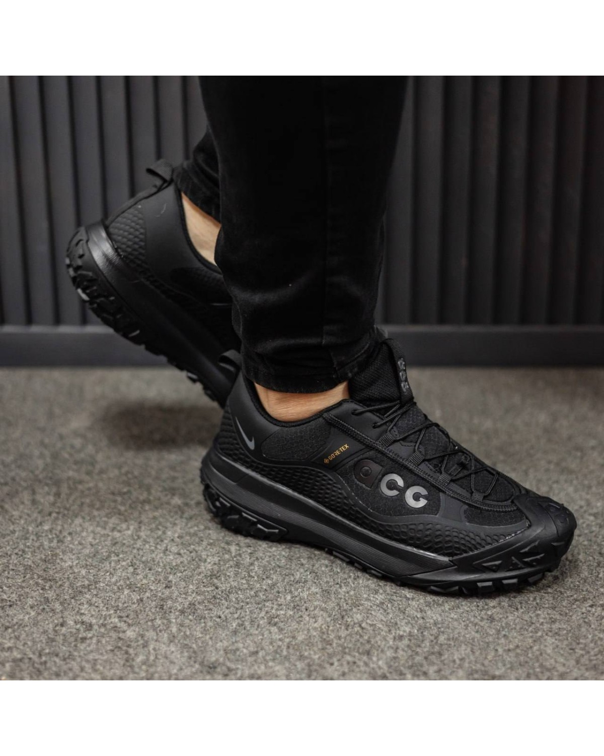 Nike ACG Mountain Fly Low 2