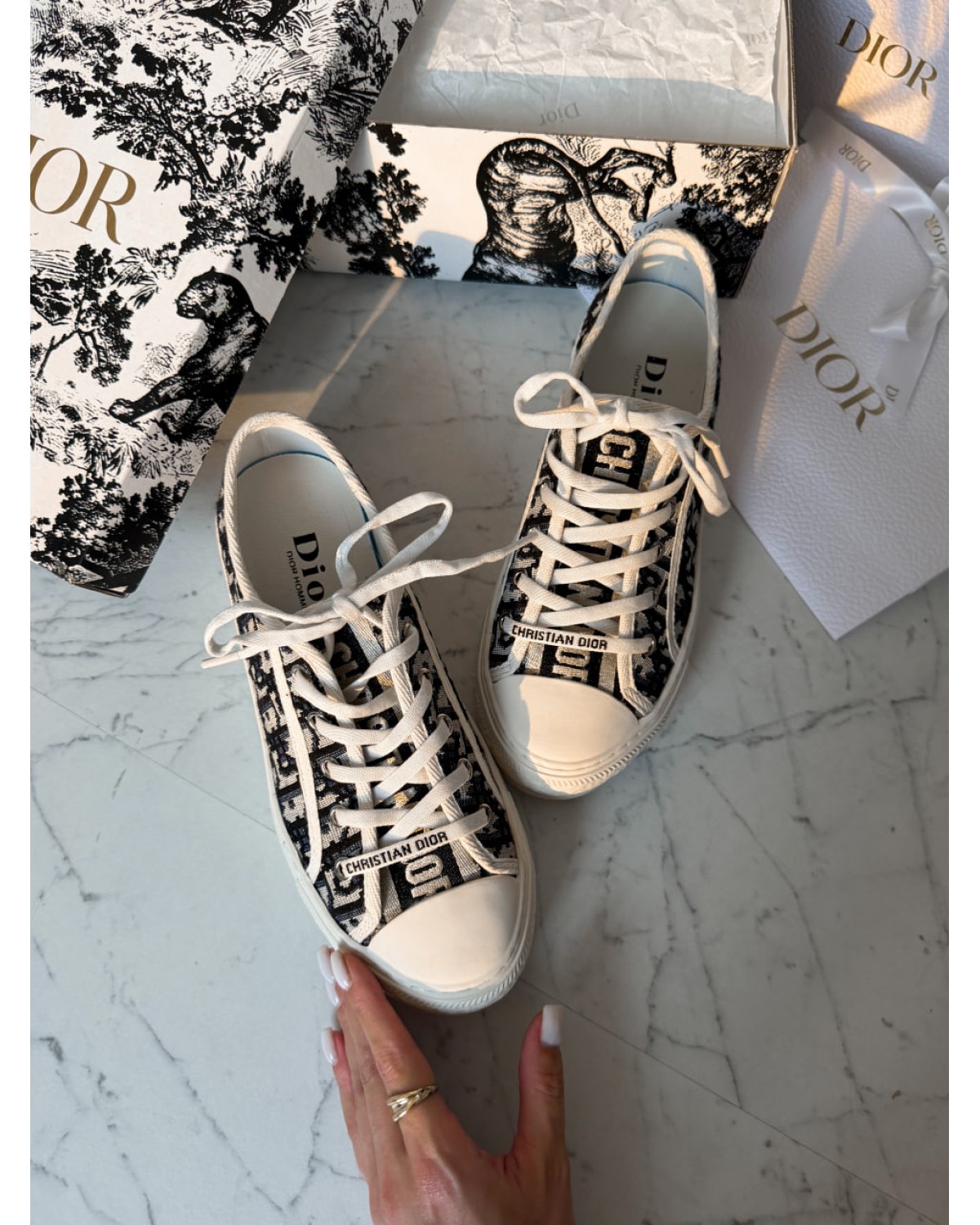 Dior Walk’n Sneaker Black