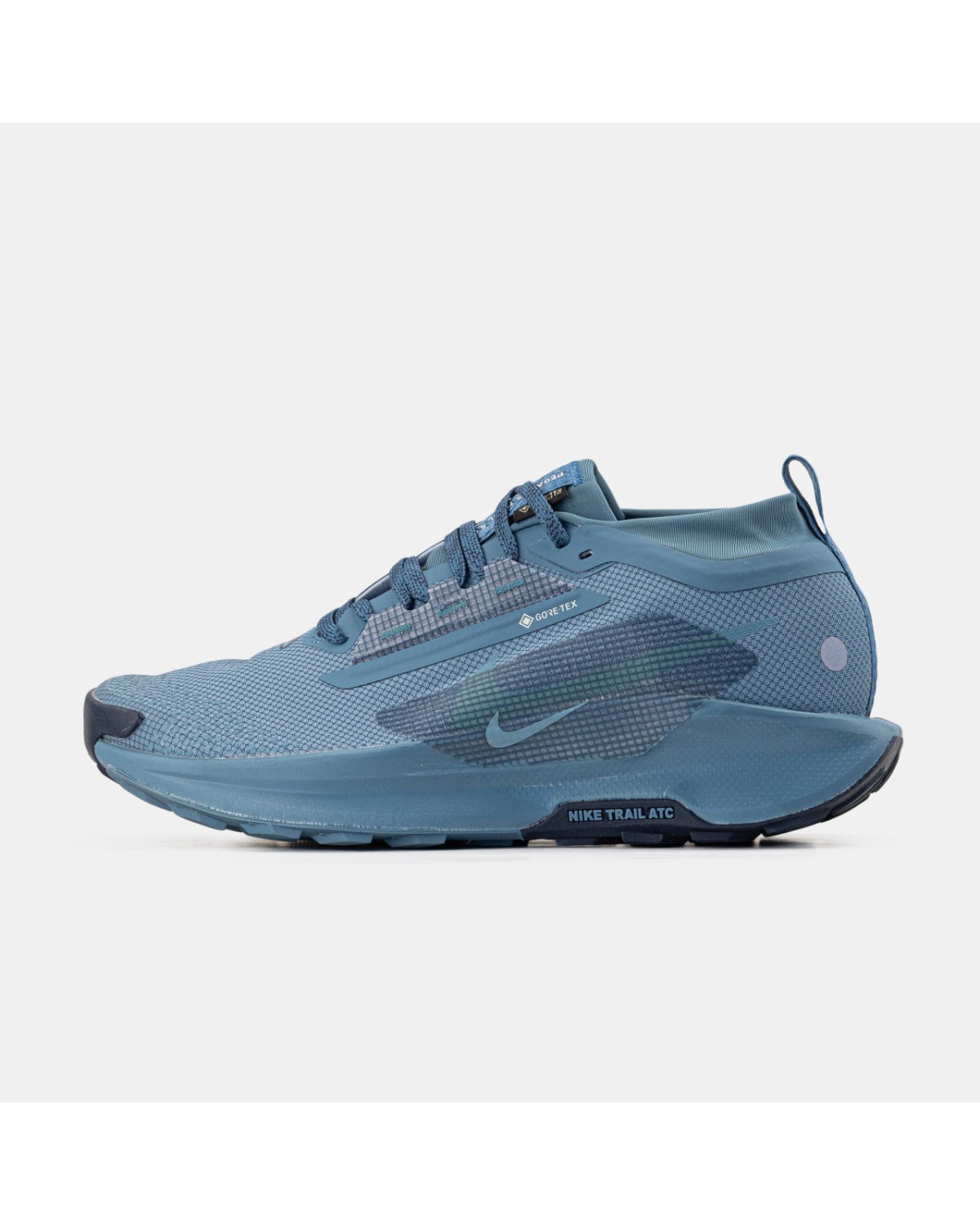 Nike Pegasus Trail 5 GTX Gore-Tex Blue