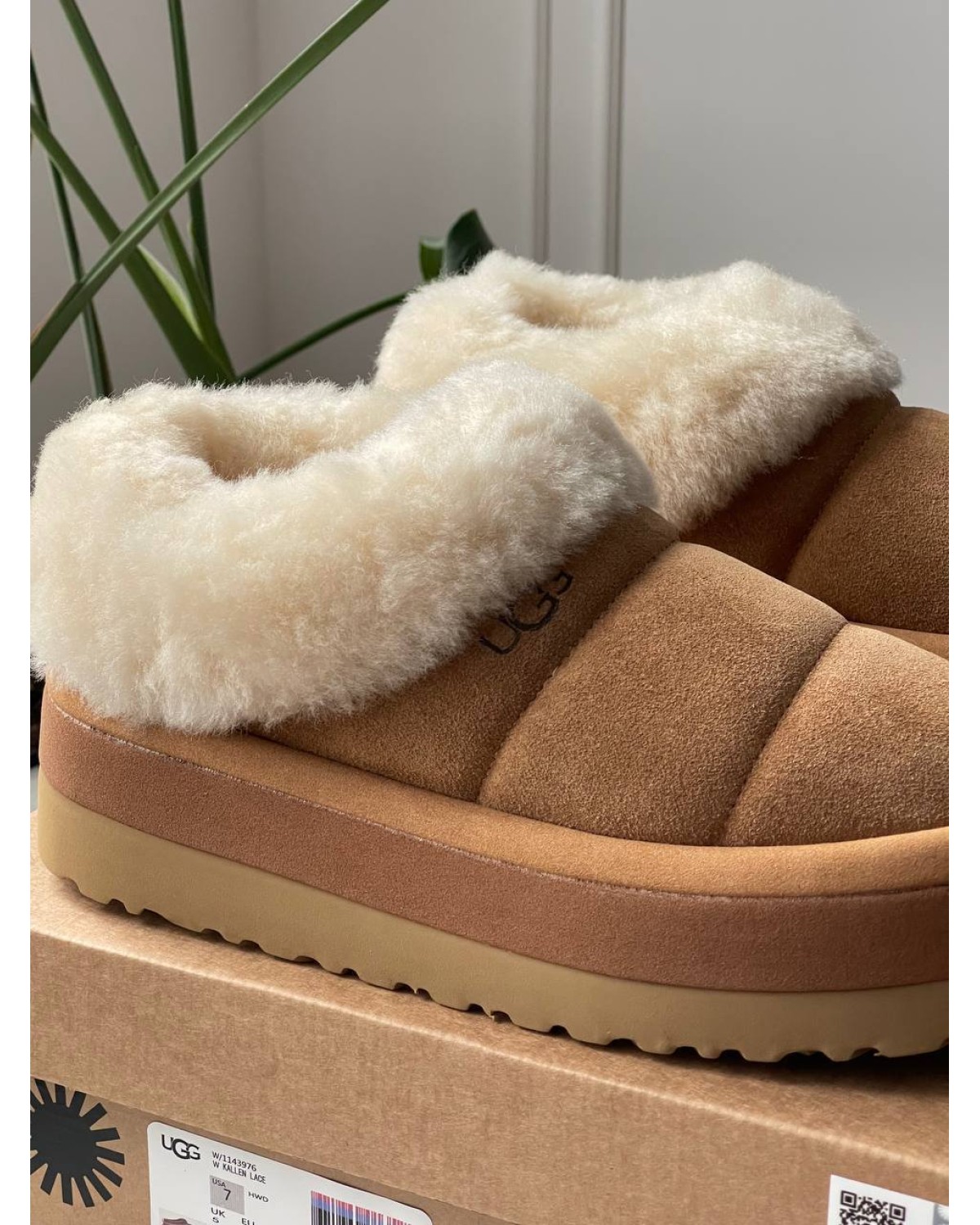 Ugg Tazzlita Chestnut