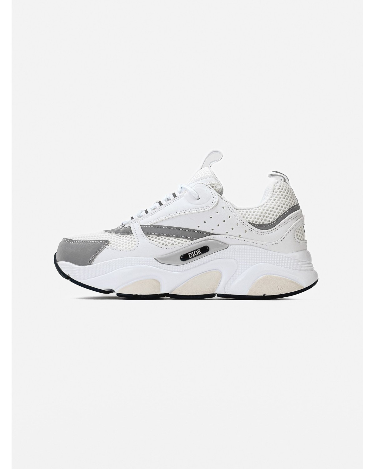 Dior B22 Reflevtive White\Grey
