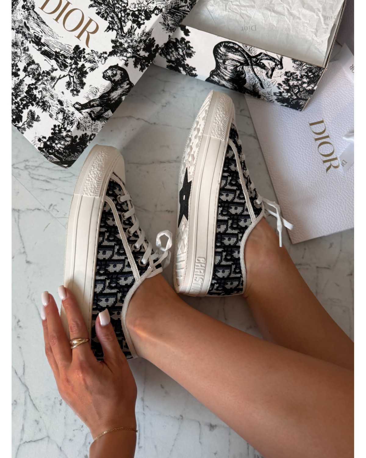 Dior Walk’n Sneaker Black