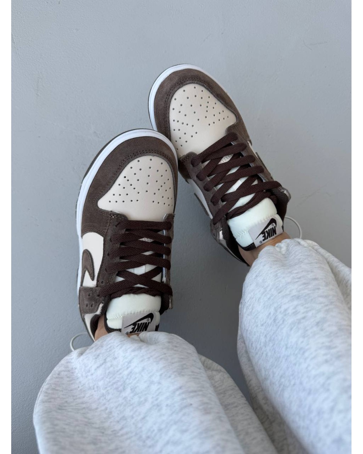 Nike Sb Dunk Pale Ivory/Baroque Brown