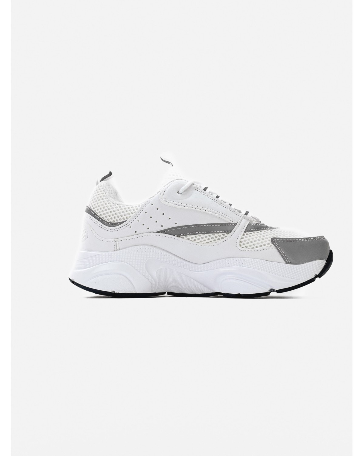 Dior B22 Reflevtive White\Grey