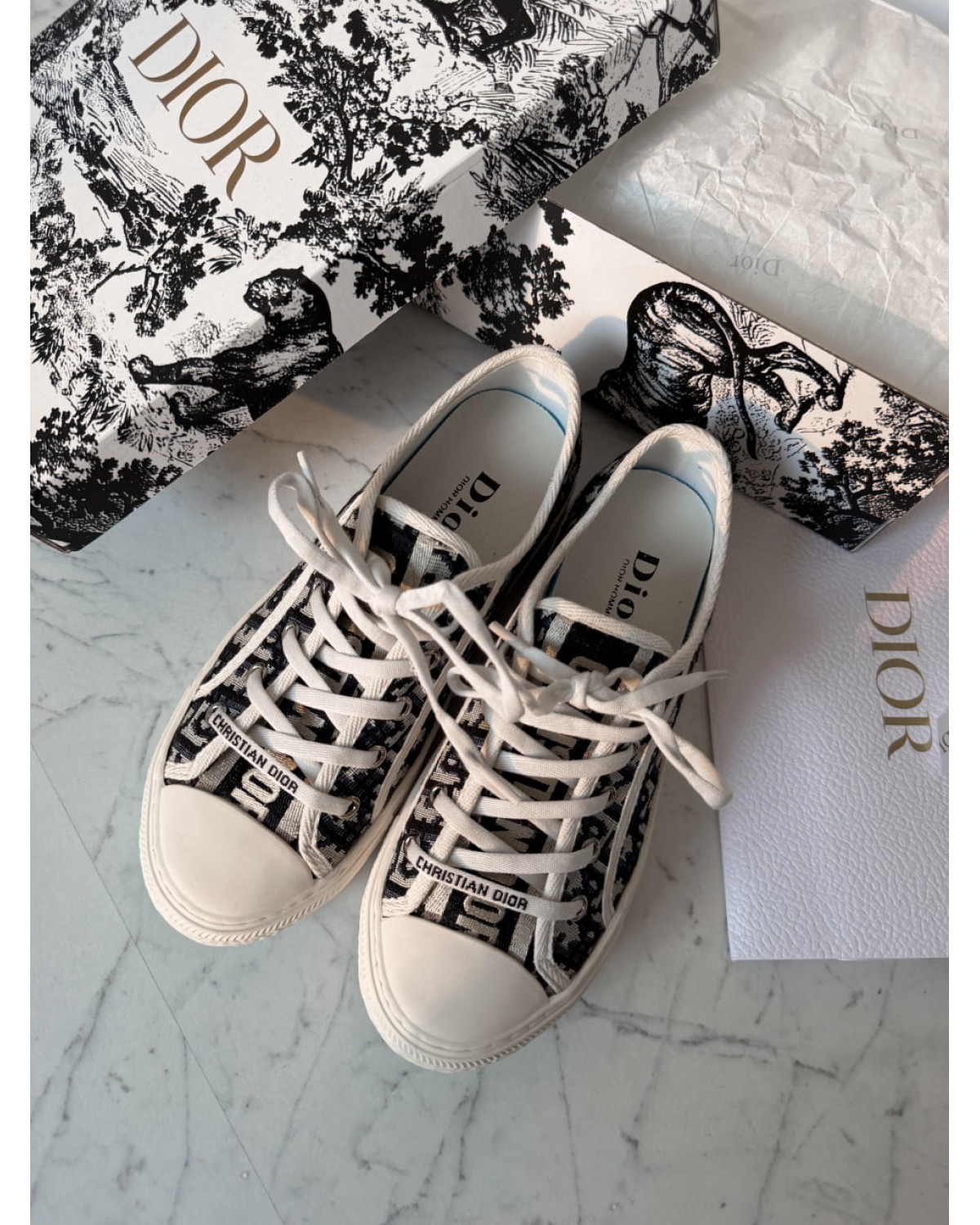 Dior Walk’n Sneaker Black