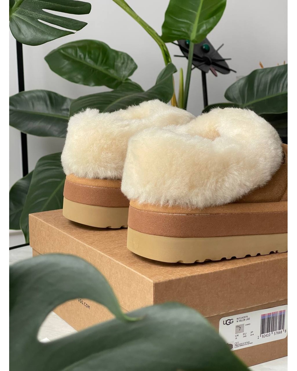 Ugg Tazzlita Chestnut