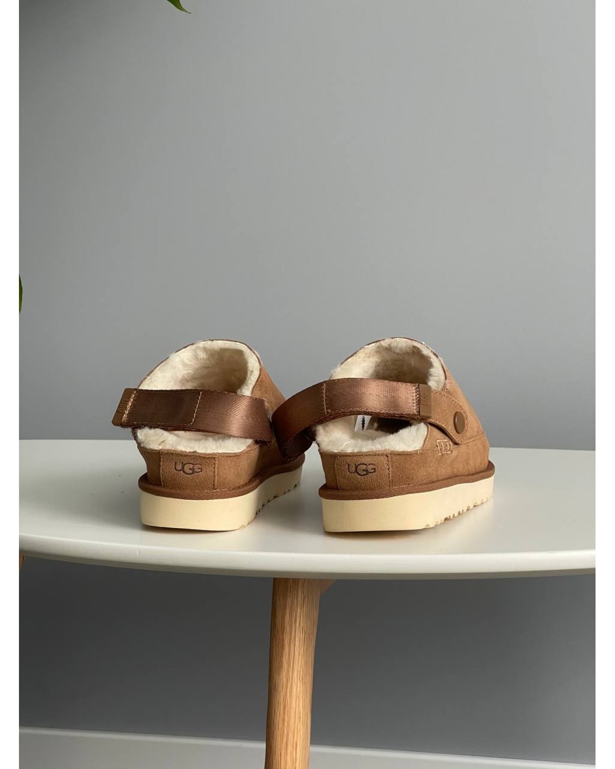 UGG Goldenstar Clog Chestnut