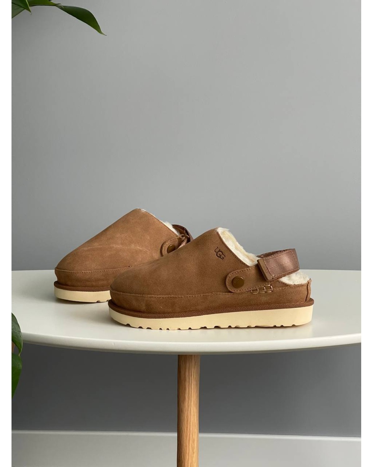 UGG Goldenstar Clog Chestnut