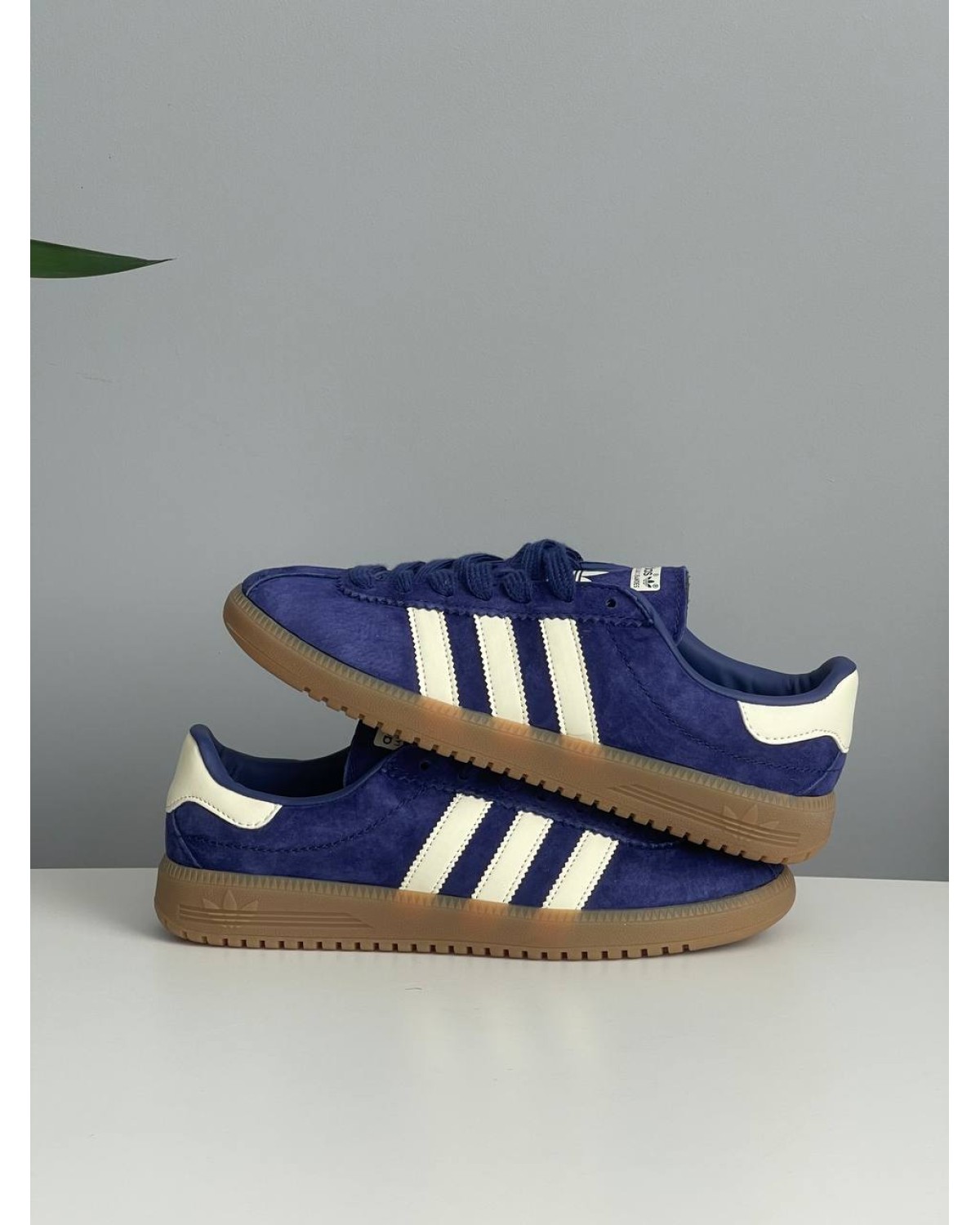 Adidas Bermuda Purple