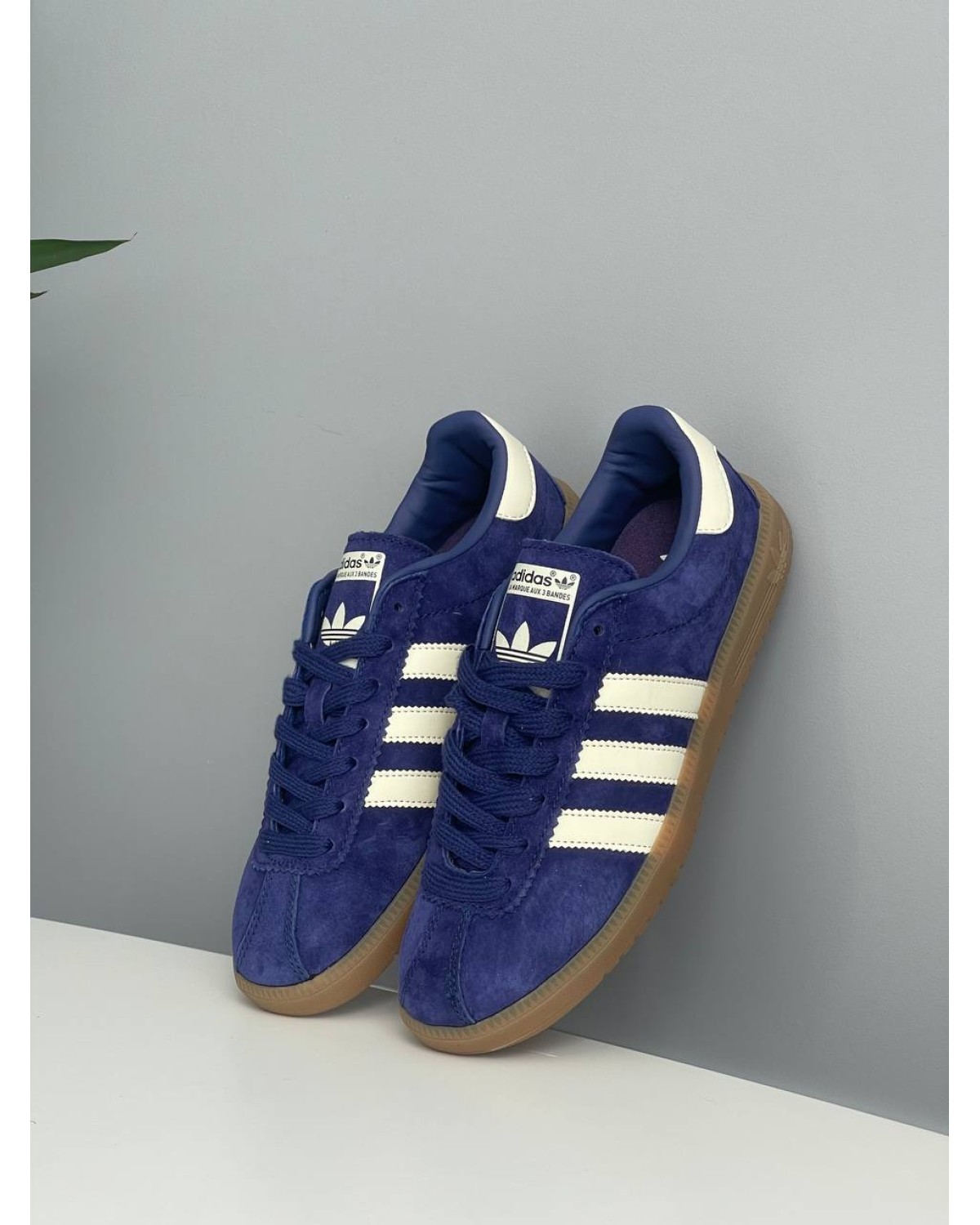 Adidas Bermuda Purple