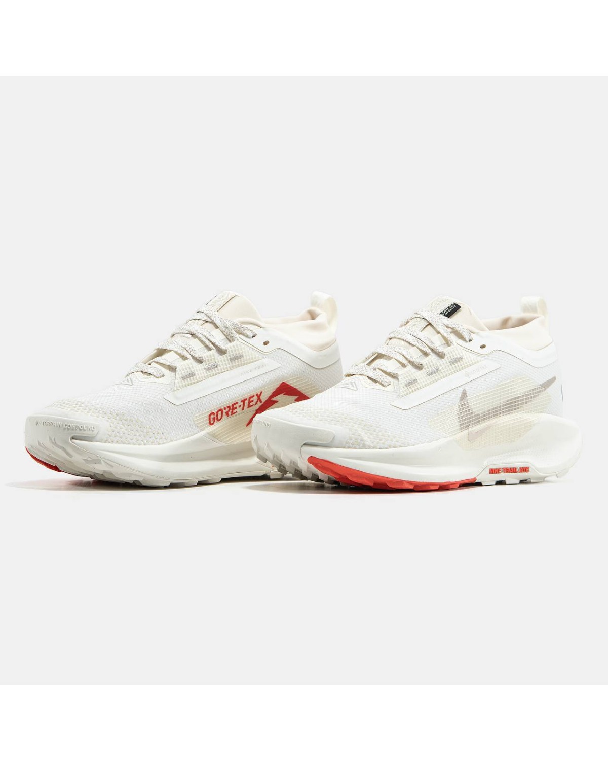 Nike Pegasus Trail 5 Gore-Tex