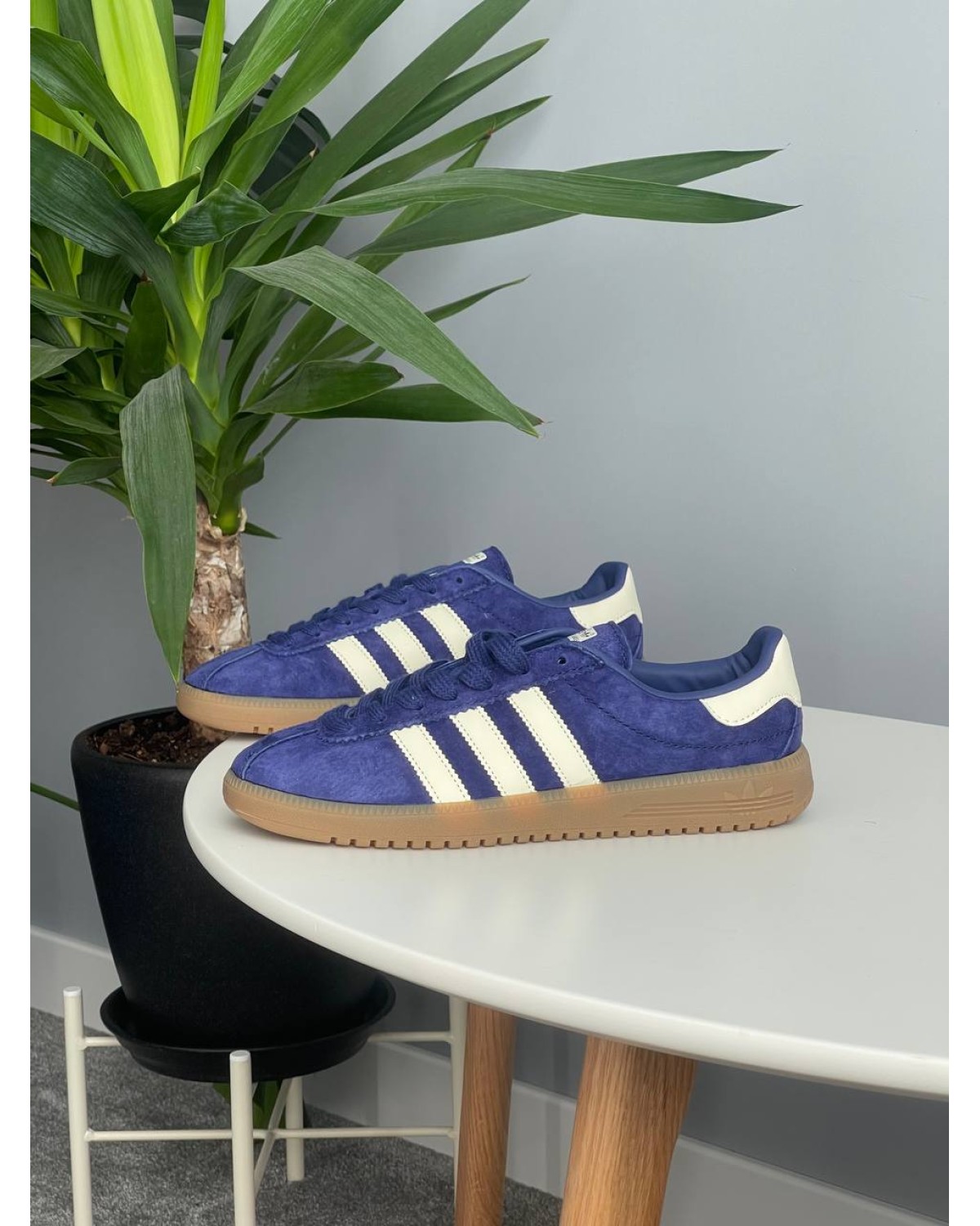 Adidas Bermuda Purple